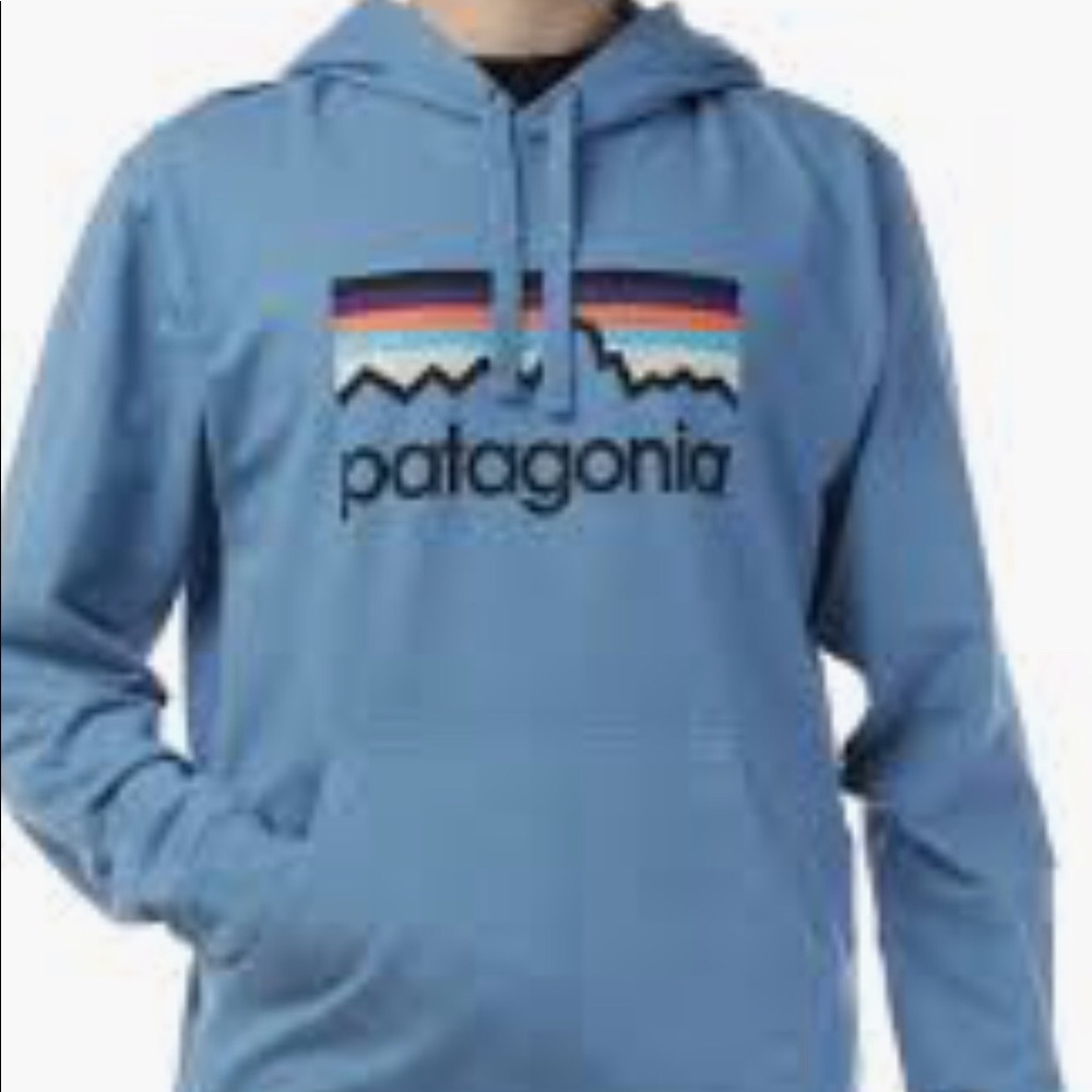 ISO PATAGONIA HOODIE. NOT SELLING